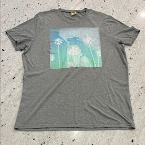 Hollister Gray Dinosaur Graphic Tee
